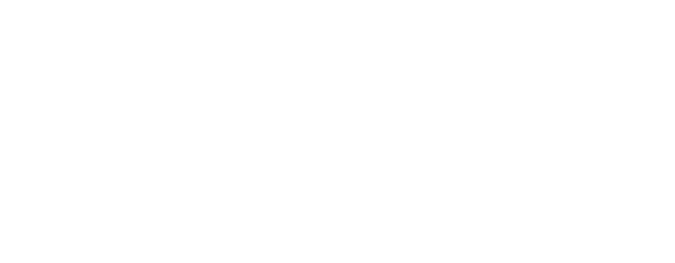 Opção Proteção Veicular